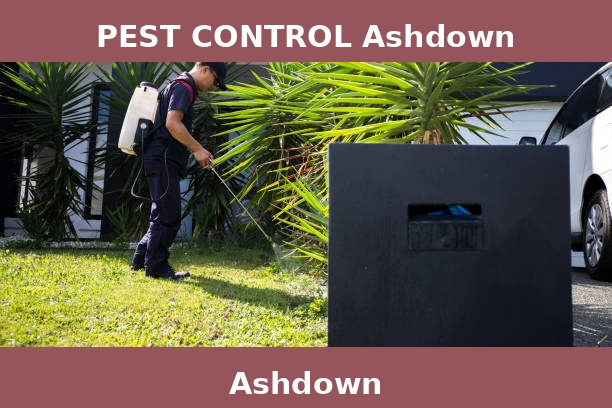 PEST CONTROL Ashdown
